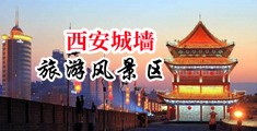 性爱日逼网中国陕西-西安城墙旅游风景区